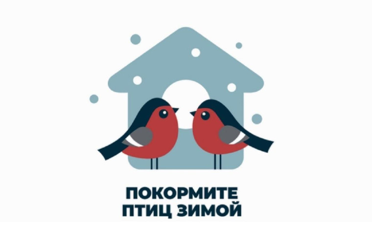 «День зимующих птиц России».